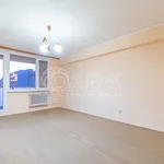 Rent 2 bedroom apartment in Mělník