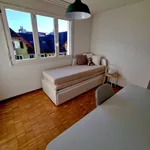 Rent 3 bedroom apartment in Thalwil