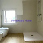 Rent 1 bedroom apartment of 100 m² in Treviso