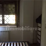 Rent 4 bedroom apartment of 100 m² in Roma