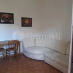 Rent 3 bedroom apartment of 60 m² in Roma