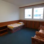 apartment at Jihomoravský ,Czech Republic