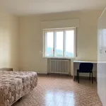 Rent 4 bedroom apartment of 200 m² in catanzaro