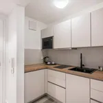 Rent 1 bedroom apartment in Munich