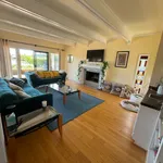 Rent 1 bedroom apartment in San Rafael