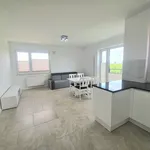 Rent 4 bedroom apartment of 83 m² in Warszawa