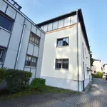 Rent 2 bedroom apartment of 64 m² in Chemnitz