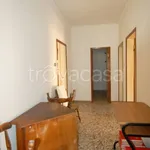 Rent 2 bedroom apartment of 70 m² in Ferrara