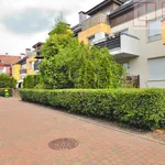 Rent 1 bedroom apartment of 32 m² in Warzymice