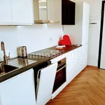 Rent 2 bedroom apartment of 50 m² in Varese