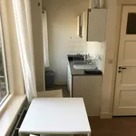 Rent 1 bedroom apartment in Utrecht