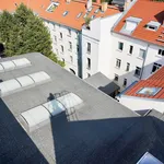 Rent 2 bedroom apartment of 60 m² in Berlin