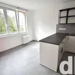 Rent 1 bedroom apartment in Karlovy Vary