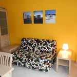 Rent 1 bedroom apartment of 36 m² in Roma