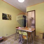 Rent 2 bedroom apartment of 45 m² in Torino