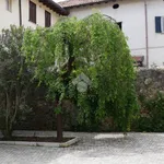 Affitto 2 camera appartamento di 55 m² in San Fermo della Battaglia