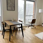 Studio of 40 m² in Prague