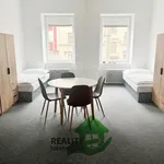 Rent 1 bedroom apartment of 21 m² in České Budějovice