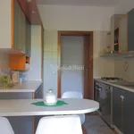 Rent 3 bedroom apartment of 110 m² in Monza