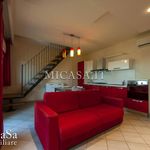 Rent 3 bedroom apartment of 80 m² in Pisa