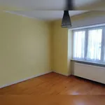  appartement avec 1 chambre(s) en location à METZING