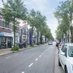 Steynlaan, Zeist - Amsterdam Apartments for Rent