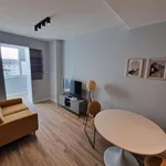 Rent 1 bedroom apartment in Porto