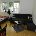 Studio of 45 m² in Prague