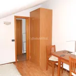 Rent 1 bedroom apartment of 35 m² in Pavia