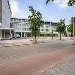 Rent 1 bedroom apartment of 38 m² in Amersfoort