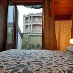 Rent 1 bedroom apartment in turin