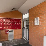 Rent 1 bedroom apartment of 36 m² in Forlì