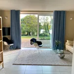 Rent 1 bedroom apartment of 55 m² in Werder (Havel)