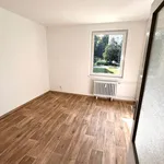 Rent 3 bedroom apartment in Trutnov