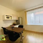 Rent 1 bedroom apartment in Kladno