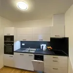 Rent 1 bedroom apartment of 29 m² in Prague