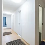 Pronajměte si 3 ložnic/e byt o rozloze 82 m² v Prague