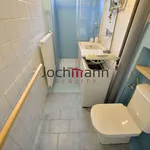 Rent 1 bedroom apartment in České Budějovice