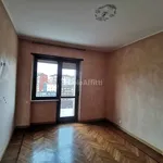 Rent 4 bedroom apartment of 120 m² in Torino