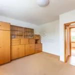 Rent 3 bedroom apartment of 120 m² in Praha