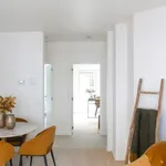 Rent 2 bedroom apartment in Ghent