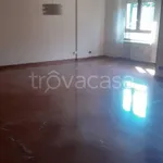 Affitto 4 camera appartamento di 110 m² in Alessandria