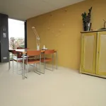 Rent 3 bedroom house of 165 m² in friesland