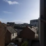 Rent 1 bedroom apartment in dublin