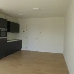 Huur 1 slaapkamer appartement in Anderlecht