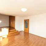 Pronajměte si 1 ložnic/e dům o rozloze 300 m² v Prague