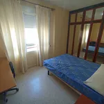 Alquilo 4 dormitorio apartamento de 90 m² en Badajoz