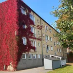 Rent 1 bedroom apartment of 33 m² in Sandviken