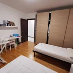 Rent 3 bedroom apartment of 110 m² in legnaro