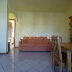 Rent 2 bedroom apartment of 65 m² in Caronno Pertusella